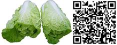 枯草芽孢杆菌