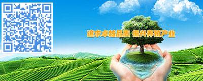 稻谷